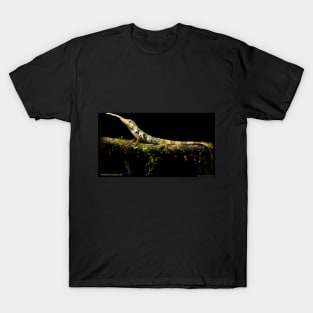 Pinocchio Anole T-Shirt